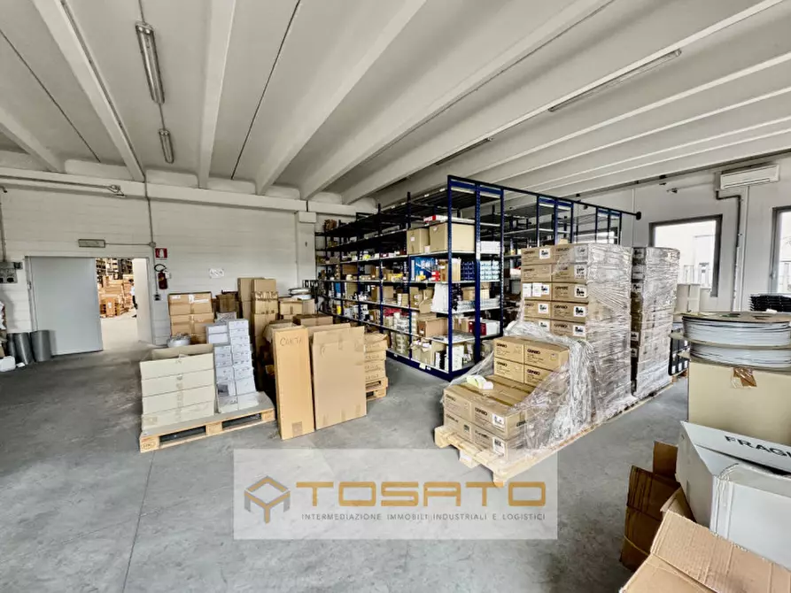 Immagine 7 di Capannone industriale in vendita  a Cerea