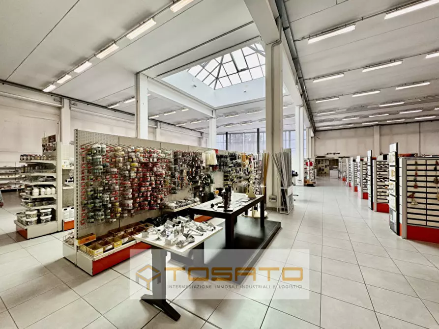 Immagine 29 di Capannone industriale in vendita  a Cerea