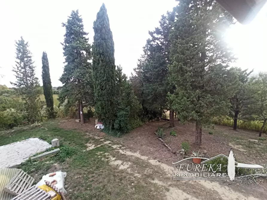 Immagine 30 di Rustico / casale in vendita  in sp 321 a Cetona