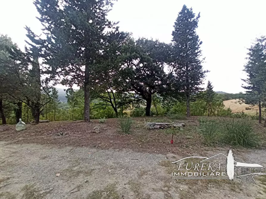 Immagine 34 di Rustico / casale in vendita  in sp 321 a Cetona