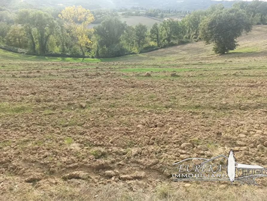 Immagine 41 di Rustico / casale in vendita  in sp 321 a Cetona