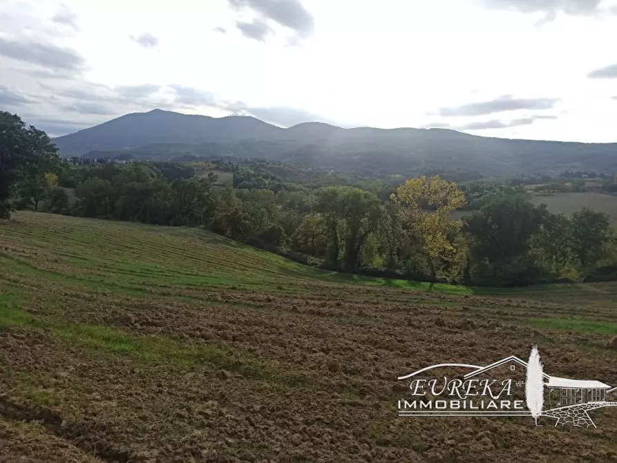 Immagine 43 di Rustico / casale in vendita  in sp 321 a Cetona