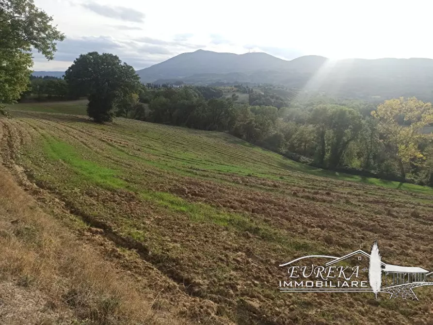 Immagine 44 di Rustico / casale in vendita  in sp 321 a Cetona