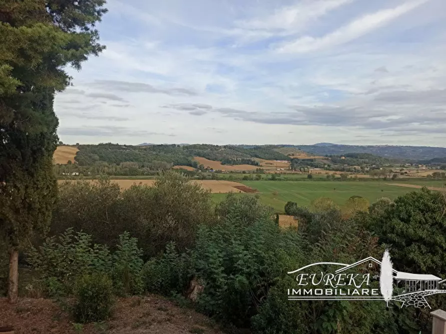 Immagine 45 di Rustico / casale in vendita  in sp 321 a Cetona