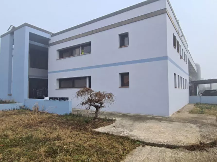 Immagine 4 di Capannone industriale in vendita  in Via Dell'artigianato 5 a Castelfranco Veneto