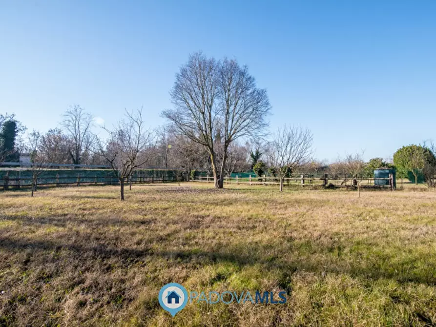 Immagine 24 di Casa bifamiliare in vendita  in via Forcellini a Padova