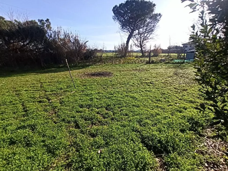 Immagine 21 di Appartamento in vendita  in località Pineta a Castiglione Del Lago