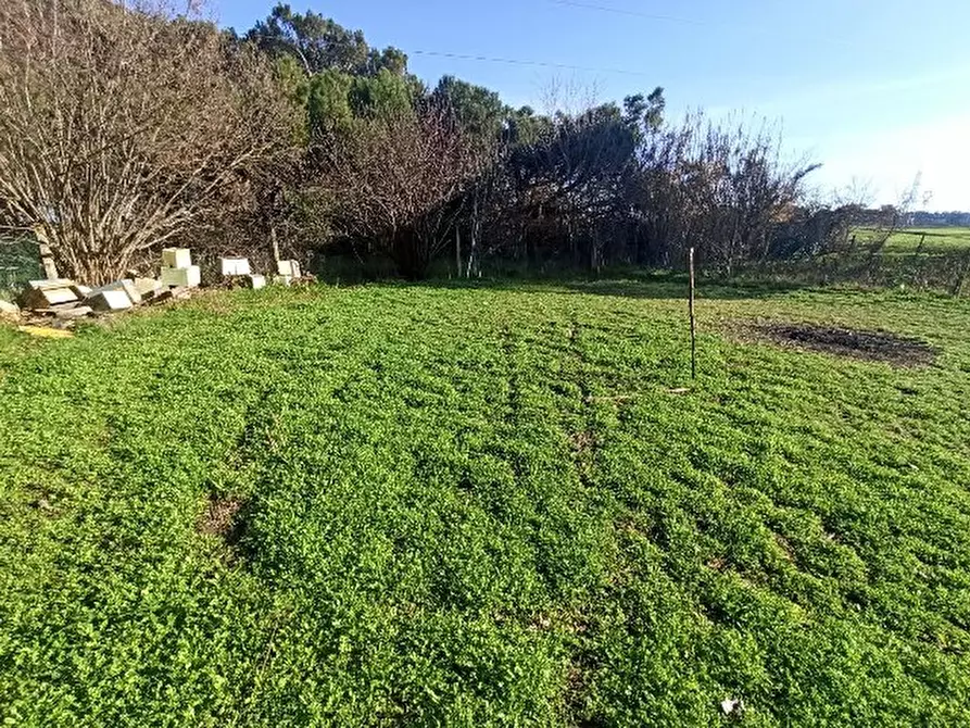 Immagine 22 di Appartamento in vendita  in località Pineta a Castiglione Del Lago