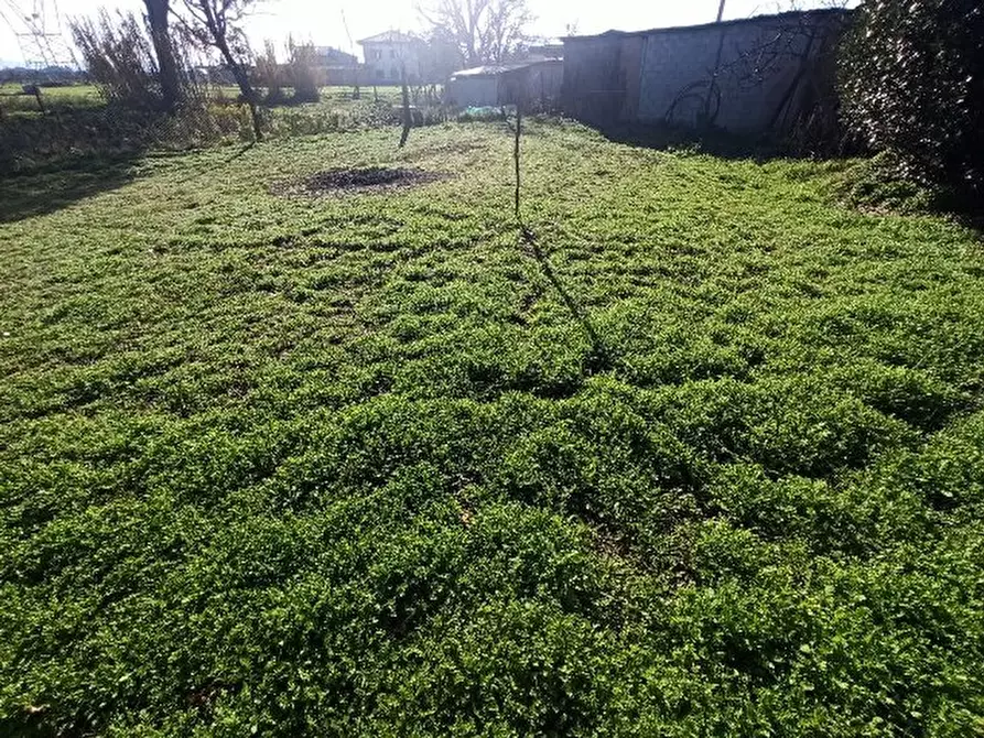 Immagine 23 di Appartamento in vendita  in località Pineta a Castiglione Del Lago