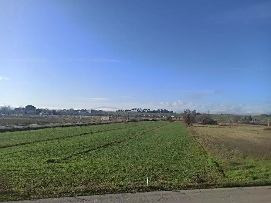 Immagine 24 di Appartamento in vendita  in località Pineta a Castiglione Del Lago