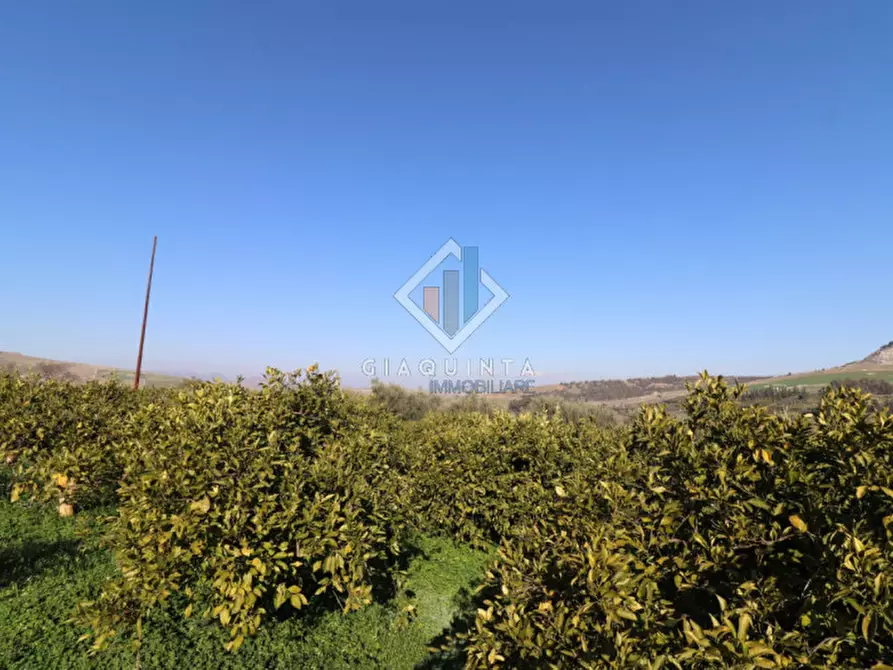 Immagine 7 di Terreno in vendita  in c.da Mongialino snc a Mineo