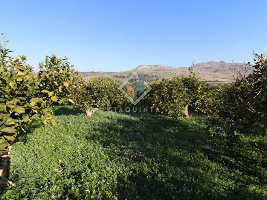 Immagine 8 di Terreno in vendita  in c.da Mongialino snc a Mineo