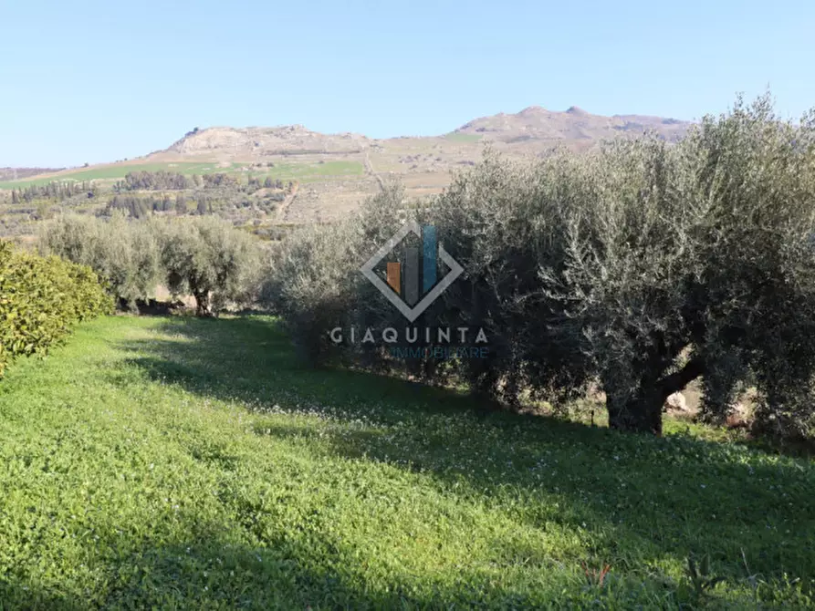 Immagine 14 di Terreno in vendita  in c.da Mongialino snc a Mineo