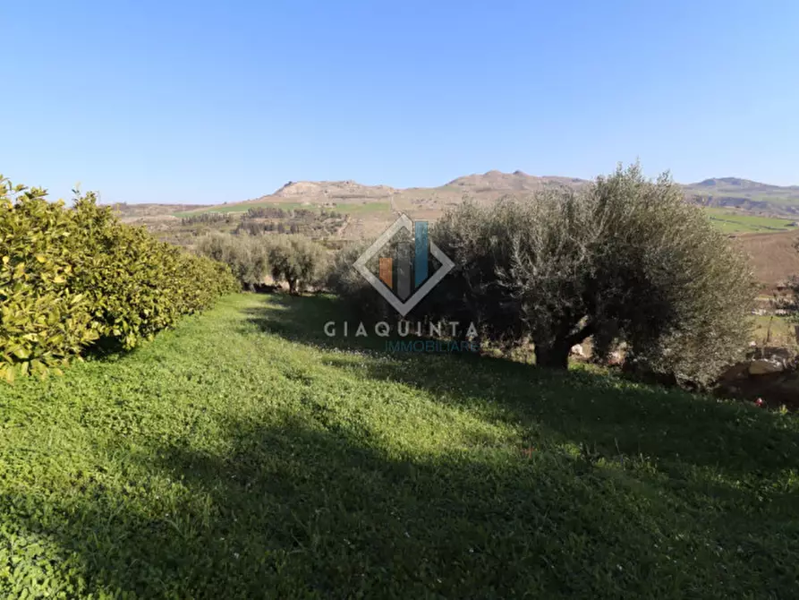 Immagine 15 di Terreno in vendita  in c.da Mongialino snc a Mineo