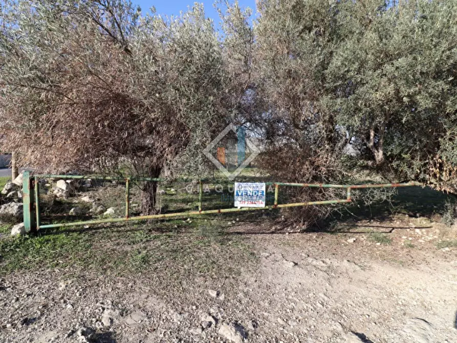Immagine 19 di Terreno in vendita  in c.da Mongialino snc a Mineo