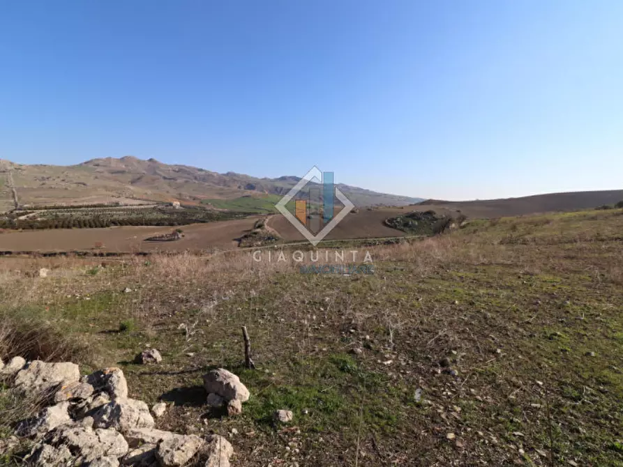 Immagine 20 di Terreno in vendita  in c.da Mongialino snc a Mineo