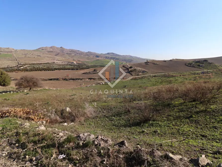 Immagine 21 di Terreno in vendita  in c.da Mongialino snc a Mineo