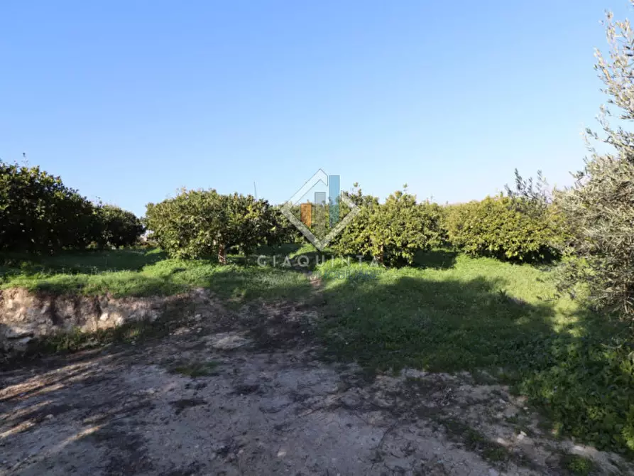 Immagine 22 di Terreno in vendita  in c.da Mongialino snc a Mineo