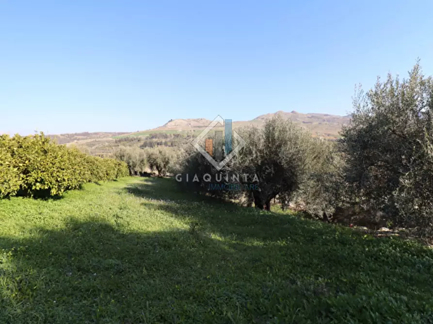 Immagine 23 di Terreno in vendita  in c.da Mongialino snc a Mineo