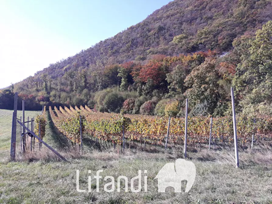 Immagine 5 di Villa in vendita  a Ala