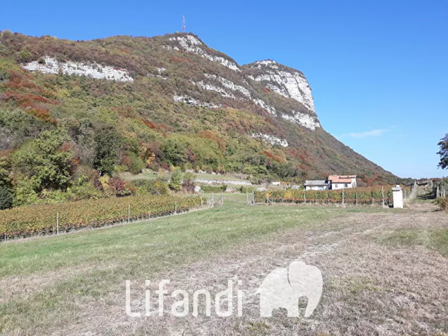 Immagine 7 di Villa in vendita  a Ala