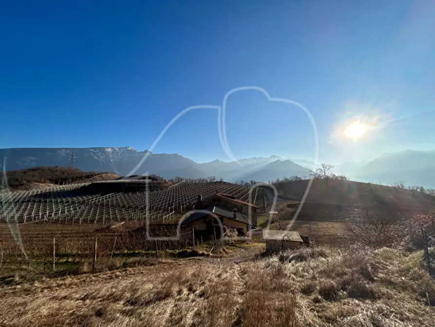 Immagine 11 di Villa in vendita  a Ala