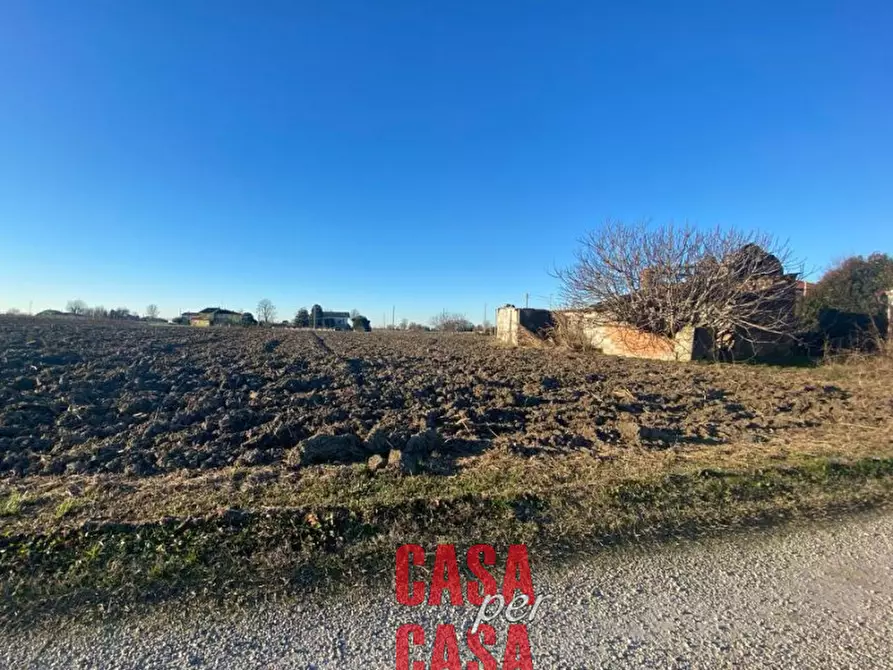 Immagine 10 di Rustico / casale in vendita  in Via Amolare a Tribano