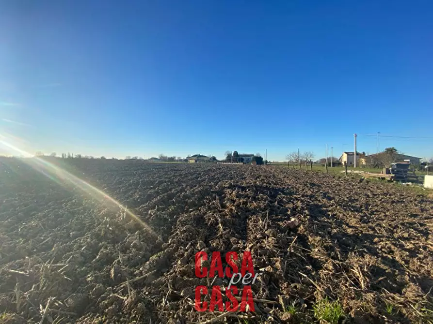 Immagine 12 di Rustico / casale in vendita  in Via Amolare a Tribano