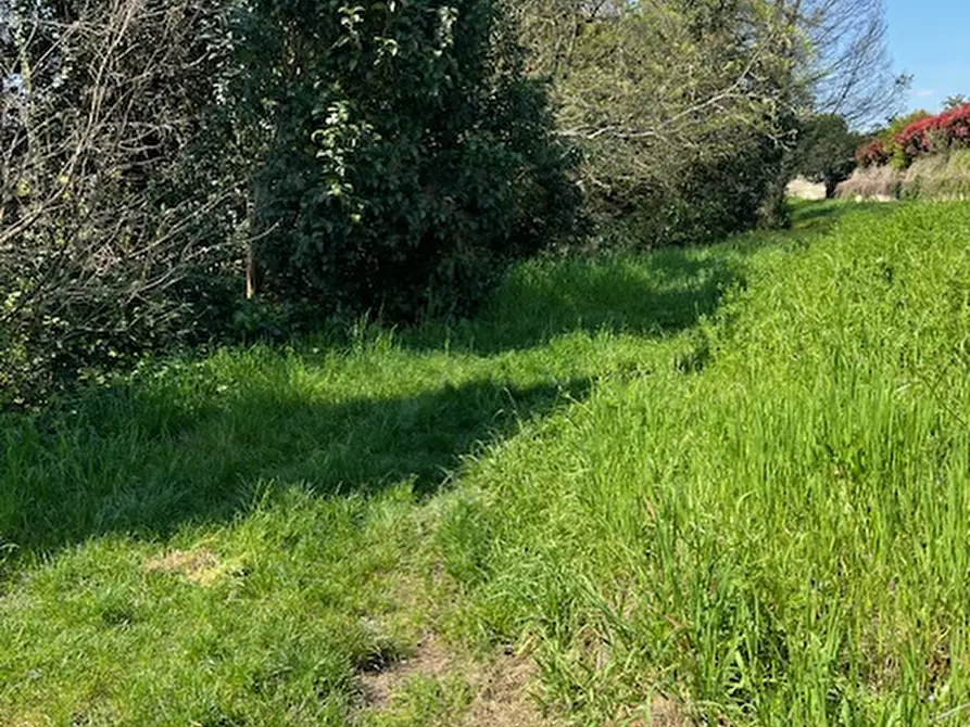 Immagine 4 di Terreno in vendita  in via del colombaro a Polpenazze Del Garda
