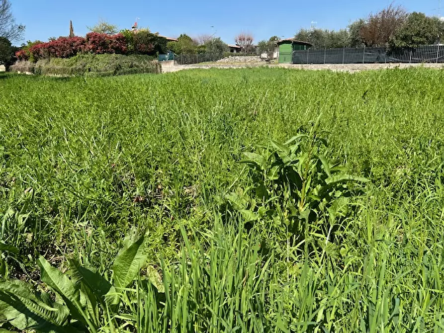 Immagine 9 di Terreno in vendita  in via del colombaro a Polpenazze Del Garda