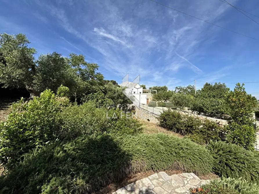 Immagine 45 di Villa in vendita  in via ostuni a Martina Franca