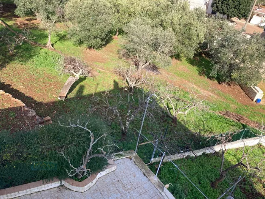 Immagine 22 di Villa in vendita  in Contrada Pisciacalze a Ceglie Messapico