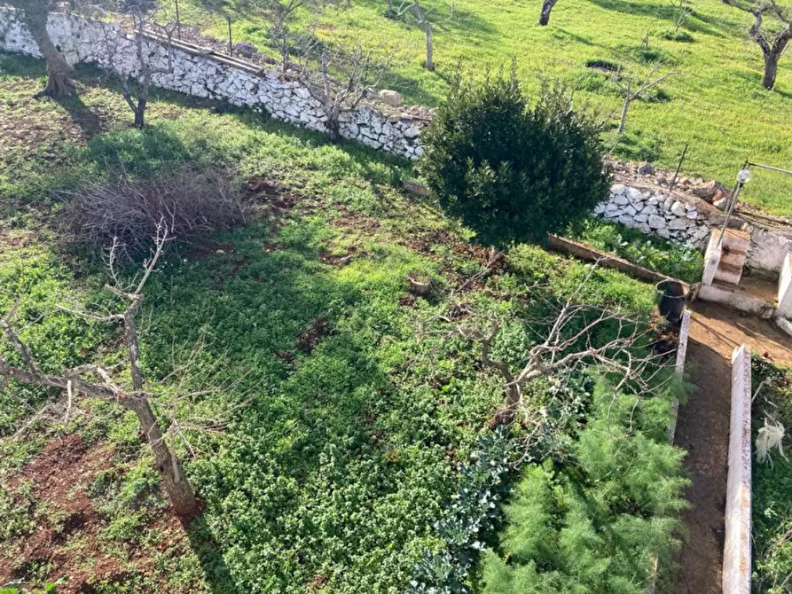 Immagine 27 di Villa in vendita  in Contrada Pisciacalze a Ceglie Messapico