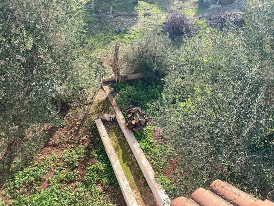 Immagine 28 di Villa in vendita  in Contrada Pisciacalze a Ceglie Messapico