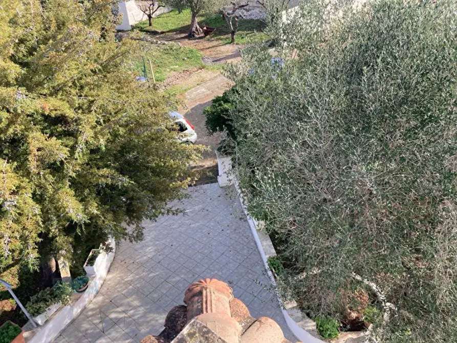 Immagine 29 di Villa in vendita  in Contrada Pisciacalze a Ceglie Messapico