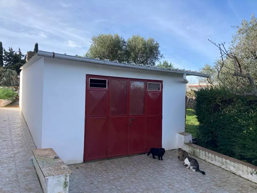 Immagine 30 di Villa in vendita  in Contrada Pisciacalze a Ceglie Messapico