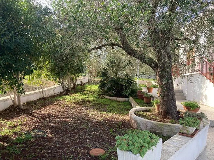 Immagine 32 di Villa in vendita  in Contrada Pisciacalze a Ceglie Messapico