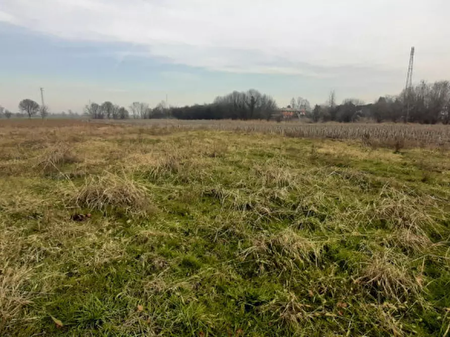 Immagine 3 di Rustico / casale in vendita  in Via Selve a Teolo