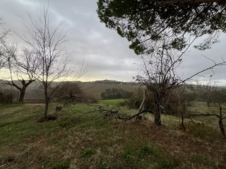Immagine 3 di Casa indipendente in vendita  a Senigallia