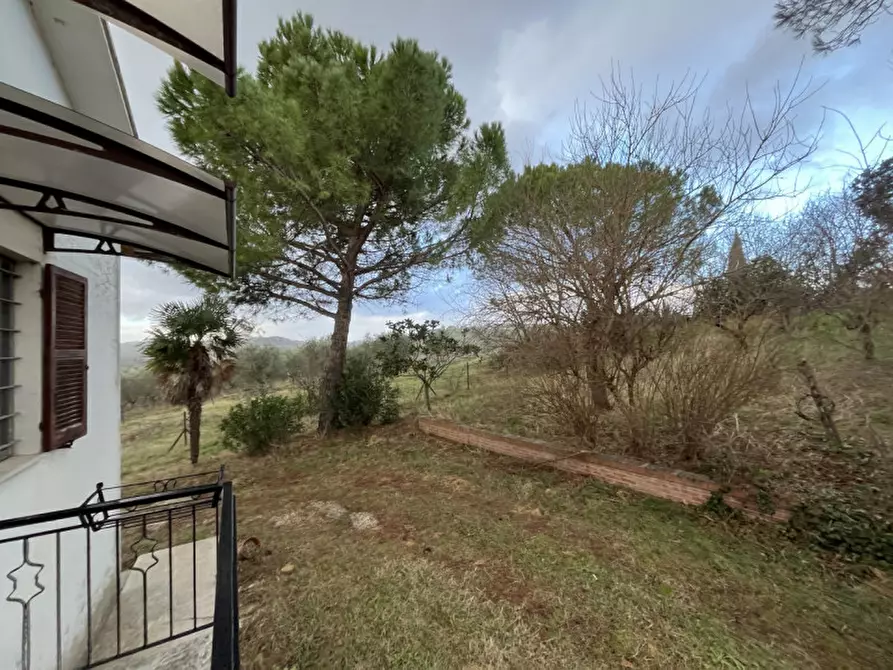 Immagine 13 di Casa indipendente in vendita  a Senigallia