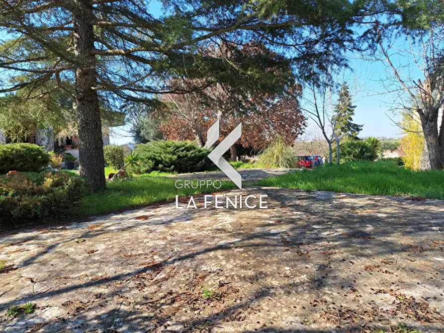 Immagine 8 di Villa in vendita  in C.da Cerrosa a Locorotondo