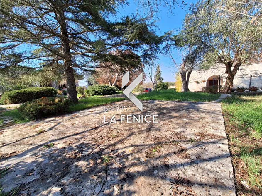 Immagine 9 di Villa in vendita  in C.da Cerrosa a Locorotondo