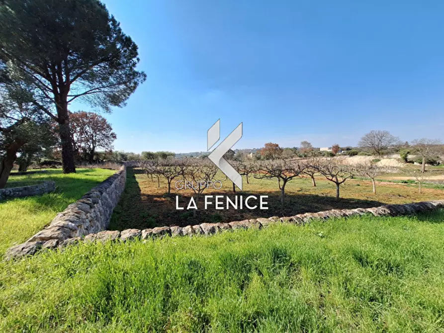 Immagine 15 di Villa in vendita  in C.da Cerrosa a Locorotondo