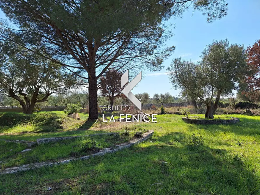 Immagine 18 di Villa in vendita  in C.da Cerrosa a Locorotondo