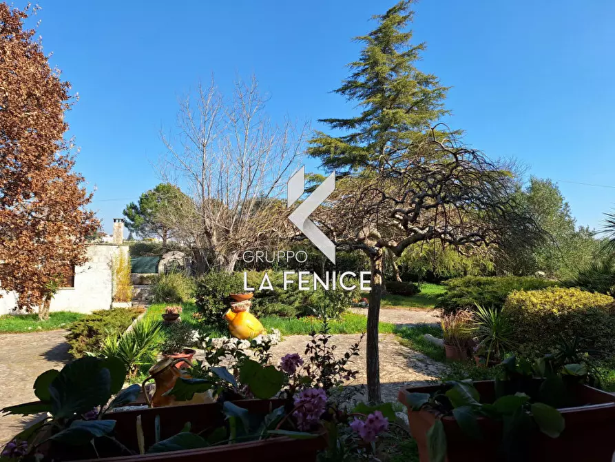 Immagine 22 di Villa in vendita  in C.da Cerrosa a Locorotondo