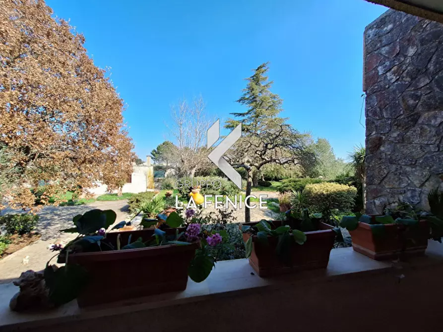 Immagine 23 di Villa in vendita  in C.da Cerrosa a Locorotondo
