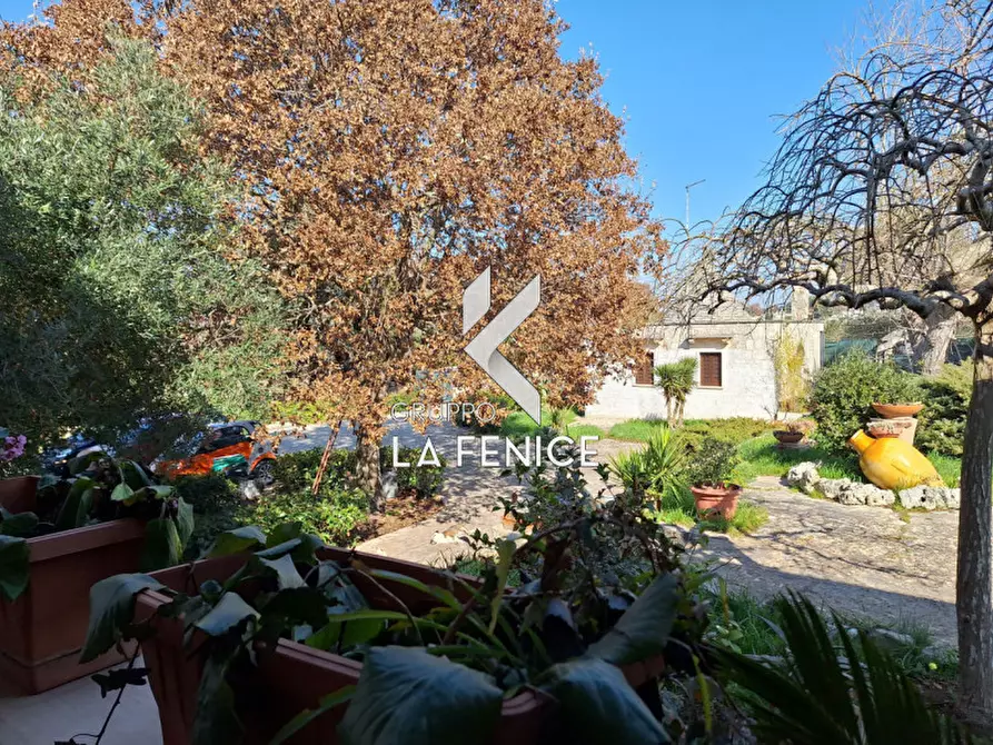 Immagine 26 di Villa in vendita  in C.da Cerrosa a Locorotondo