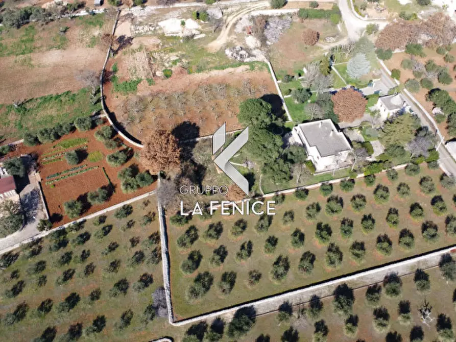 Immagine 60 di Villa in vendita  in C.da Cerrosa a Locorotondo