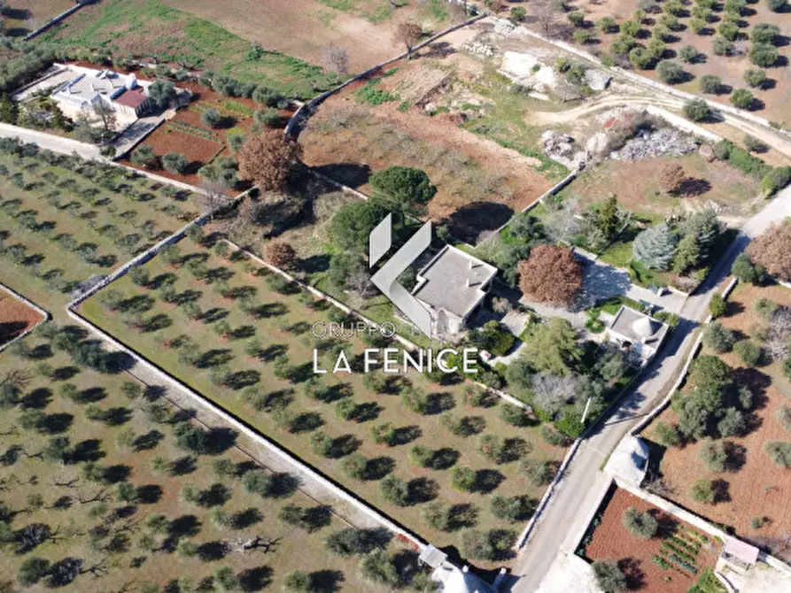 Immagine 60 di Villa in vendita  in C.da Cerrosa a Locorotondo