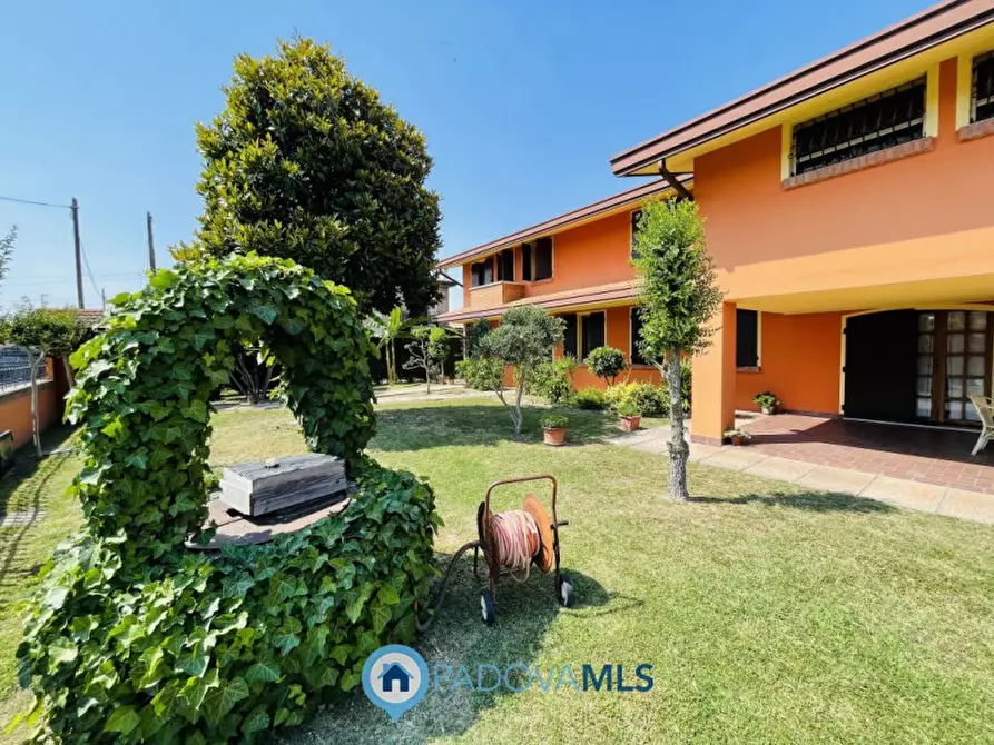 Immagine 22 di Villa in vendita  in via cucchetti 74 a Noventa Padovana